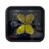 Race Sport 20-Watt CUBE Style High Power AUX LED On-Road Compliant Light Pattern RS3TEMPCL